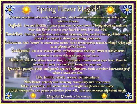 The Power of the Spring Equinox: Harnessing Balance and Harmony in Your Craft